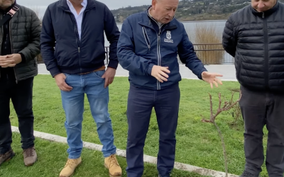 Panguipulli retoma su historia como capital de las rosas con nuevo plan de ornamentación
